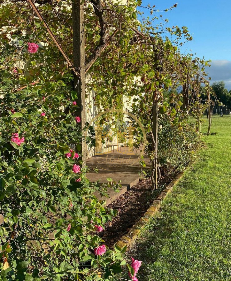 Campo Ref.63 - VENTA CAMPO 1500 HECTAREAS