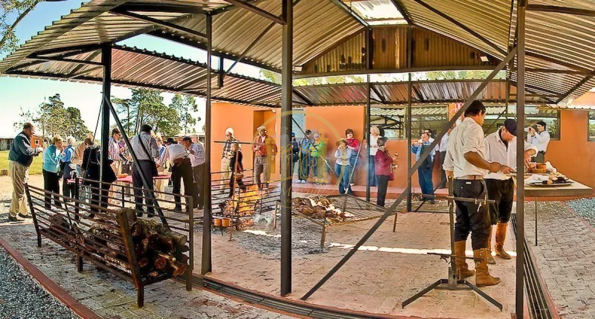 Campo Ref.83 - Venta Magnífica Estancia Turística Inversión Punta Del Este, Campo 30 has.