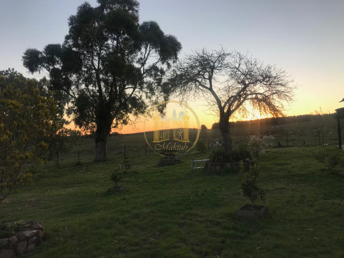 Campo Ref.63 - VENTA CAMPO 1500 HECTAREAS