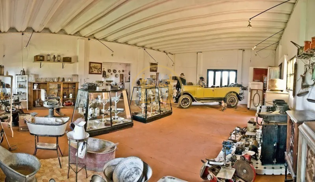 Campo Ref.83 - Venta Magnífica Estancia Turística Inversión Punta Del Este, Campo 30 has.