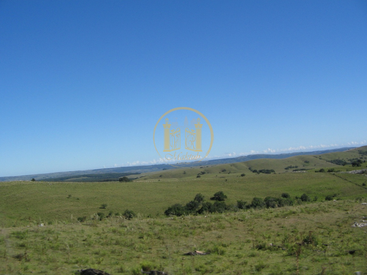 Campo Ref.63 - VENTA CAMPO 1500 HECTAREAS