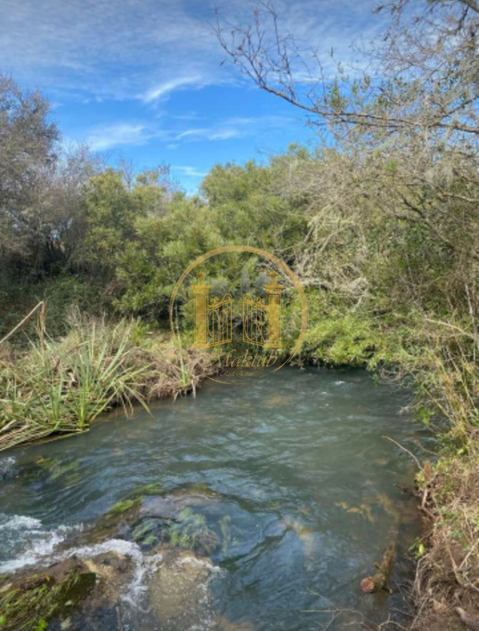 Campo Ref.63 - VENTA CAMPO 1500 HECTAREAS