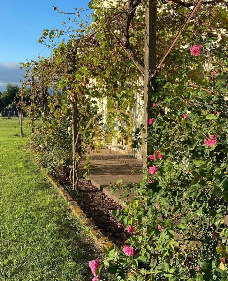 Campo Ref.63 - VENTA CAMPO 1500 HECTAREAS