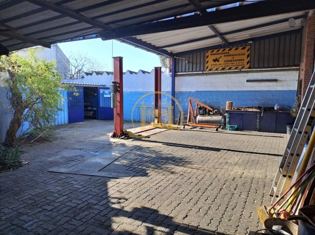 Local Comercial ID.527 - Local en Maldonado, Maldonado