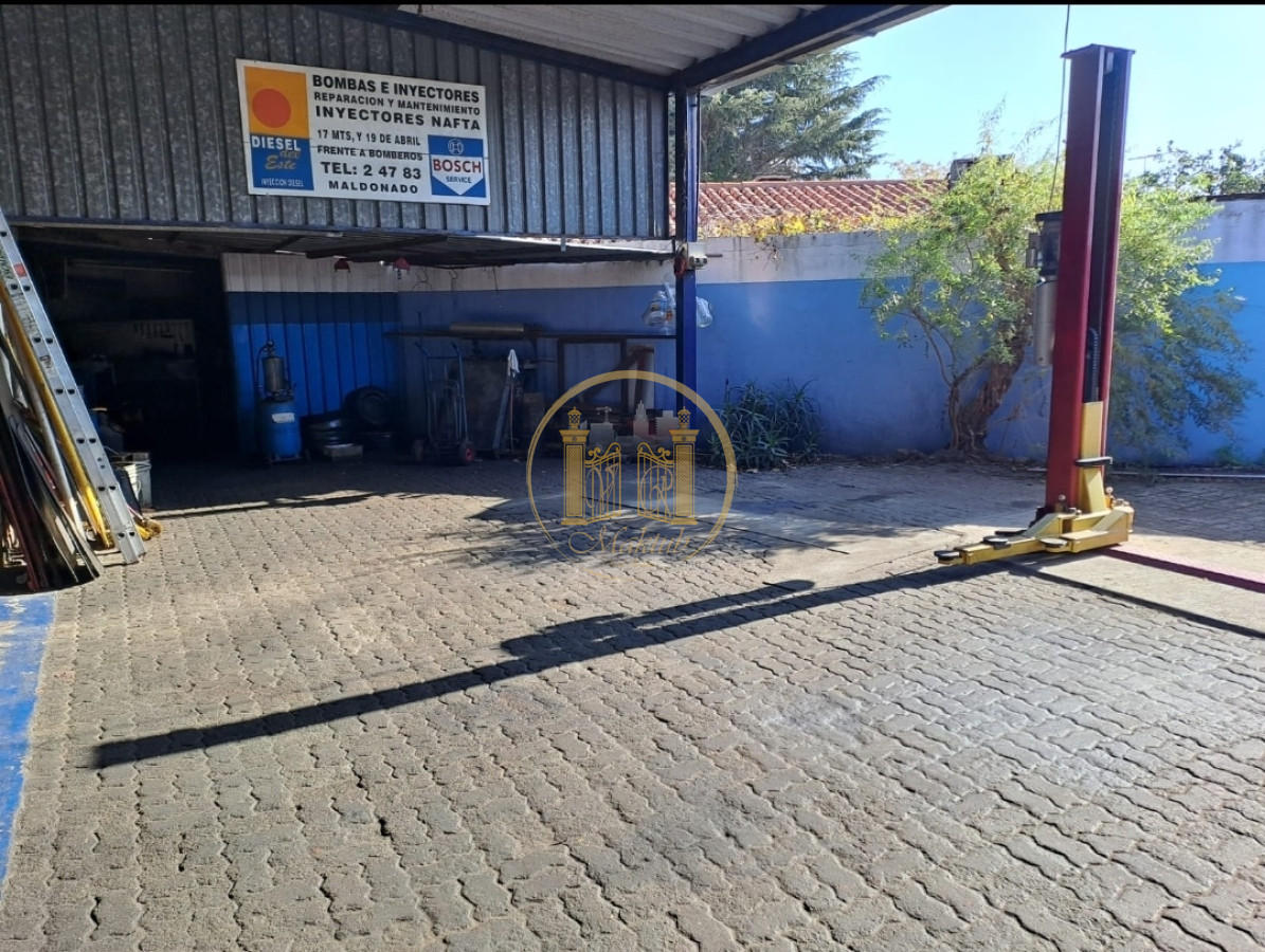 Local Comercial ID.527 - Local en Maldonado, Maldonado