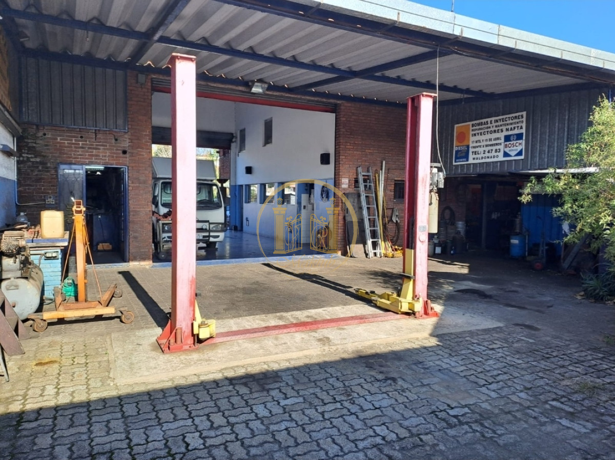 Local Comercial ID.527 - Local en Maldonado, Maldonado
