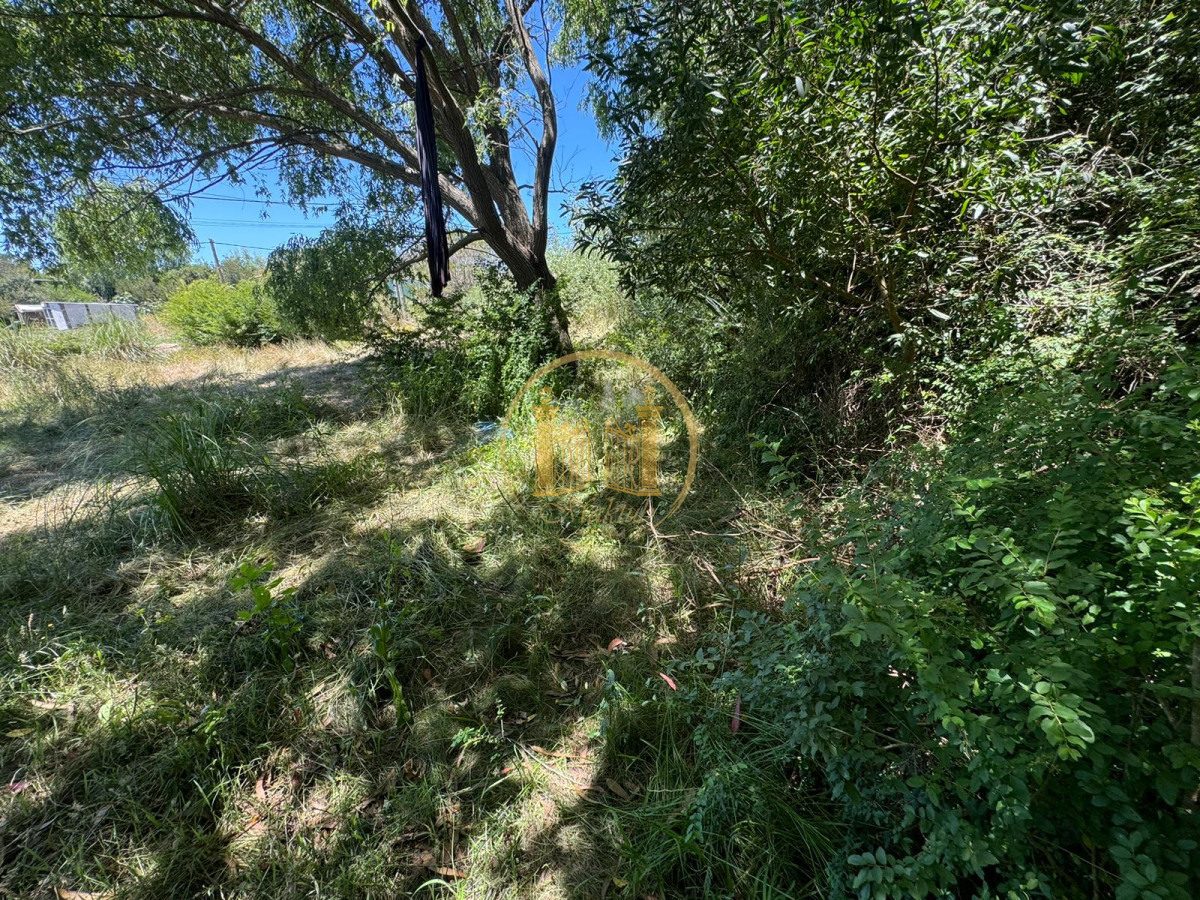 Terreno ID.393 - Vendo Terreno, título de propiedad (no posesorio), El Chorro, Manantiales, Maldonado .
