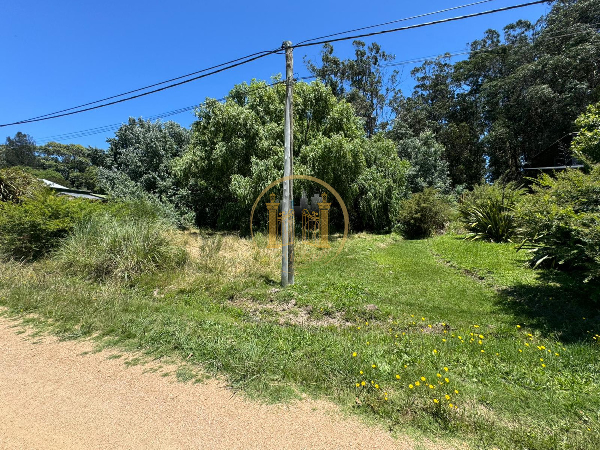 Terreno ID.393 - Vendo Terreno, título de propiedad (no posesorio), El Chorro, Manantiales, Maldonado .