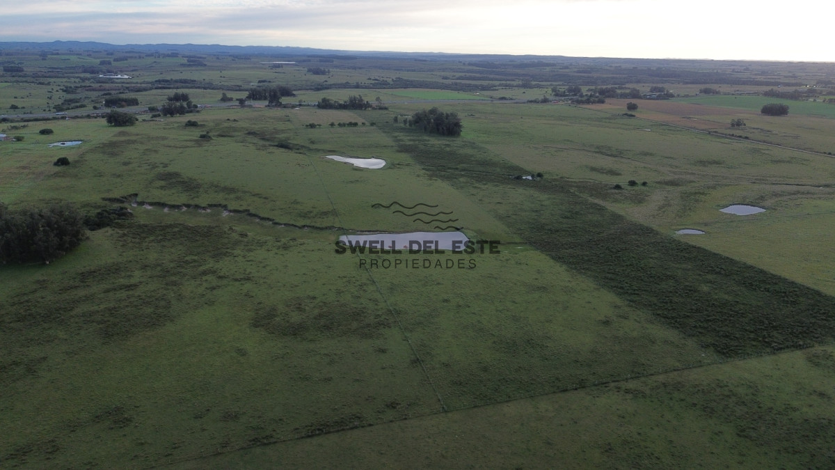 Chacra ID.369 - Chacra 9.85HAS Sobre Ruta 9 Maldonado.