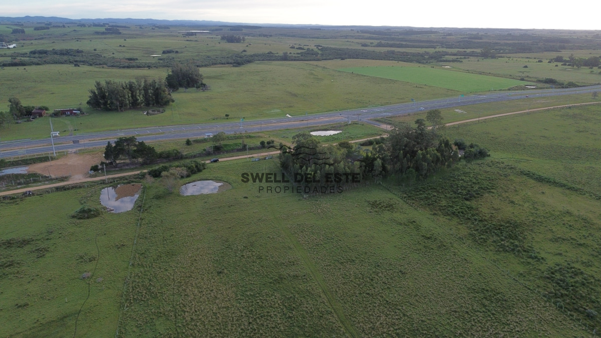 Chacra ID.369 - Chacra 9.85HAS Sobre Ruta 9 Maldonado.