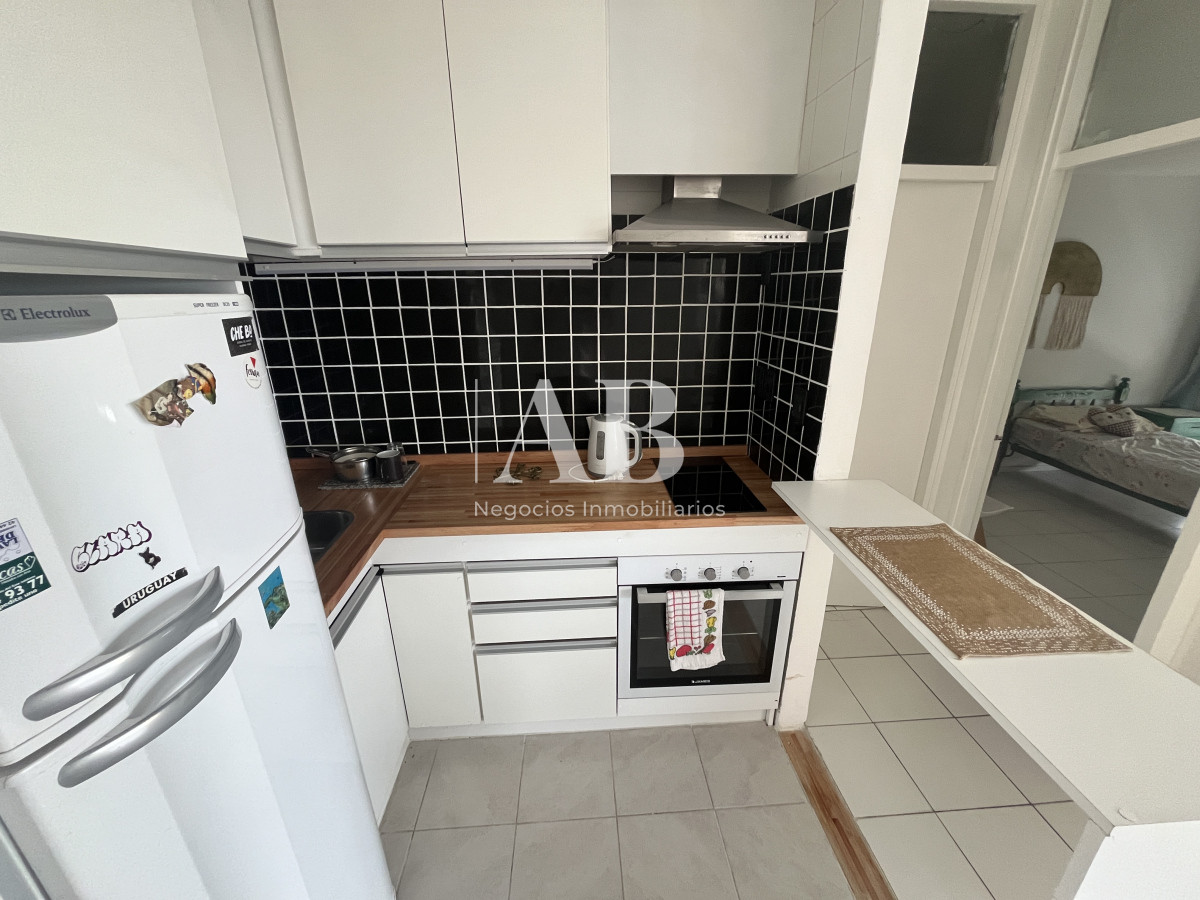 Apartamento ID.181 - 1 Dormitorio y medio en Peninsula.