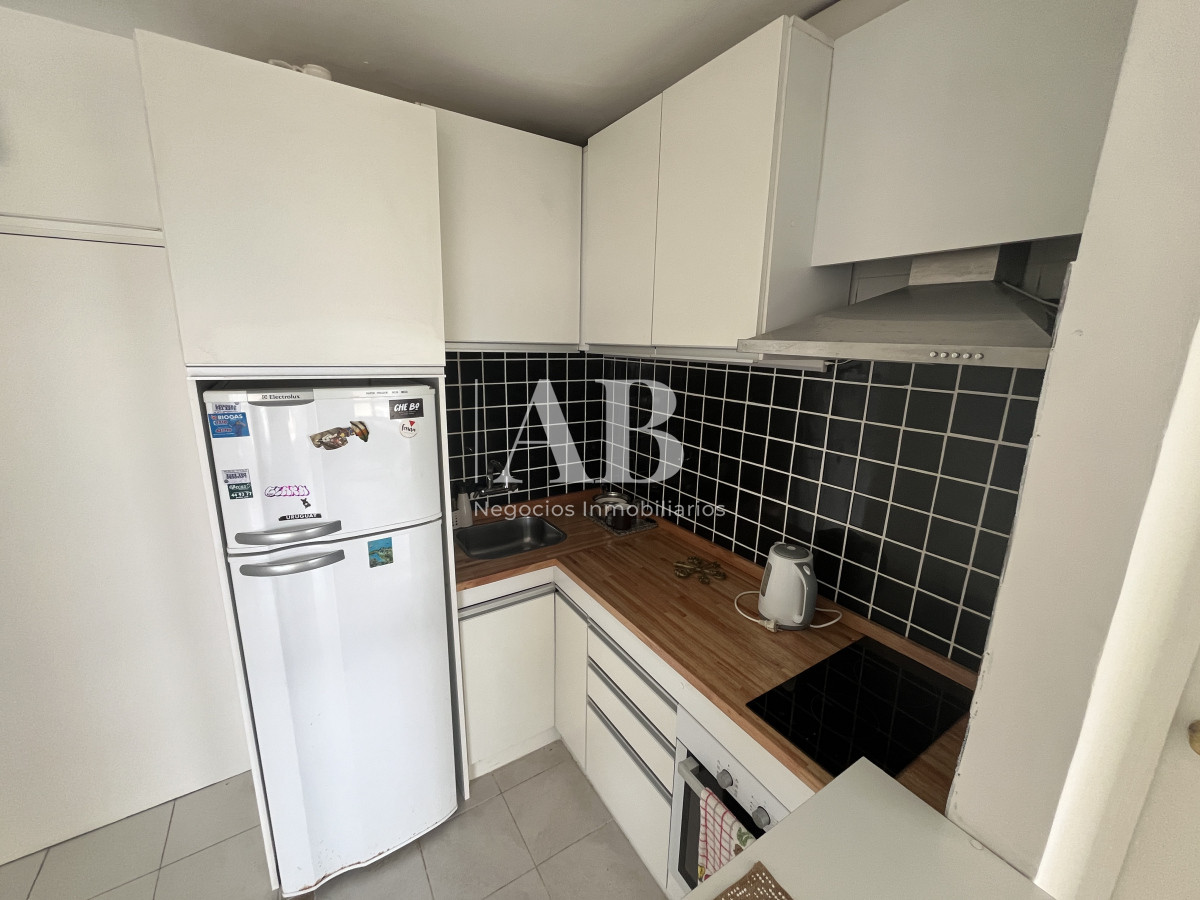 Apartamento ID.181 - 1 Dormitorio y medio en Peninsula.