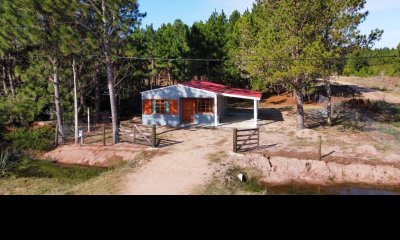 Casa - En Venta - En Solar De 660m2 - Barrio Pinares - Mza 125