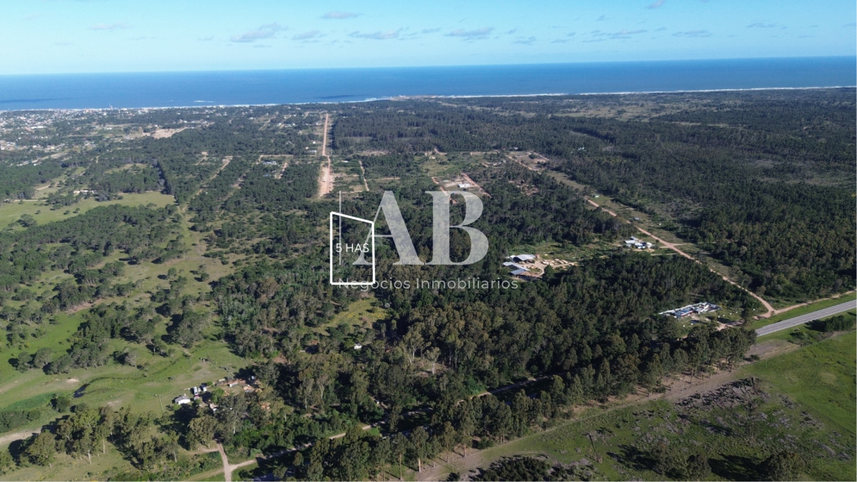 Chacra ID.356 - Oportunidad exclusivas 5has en Punta Del Diablo