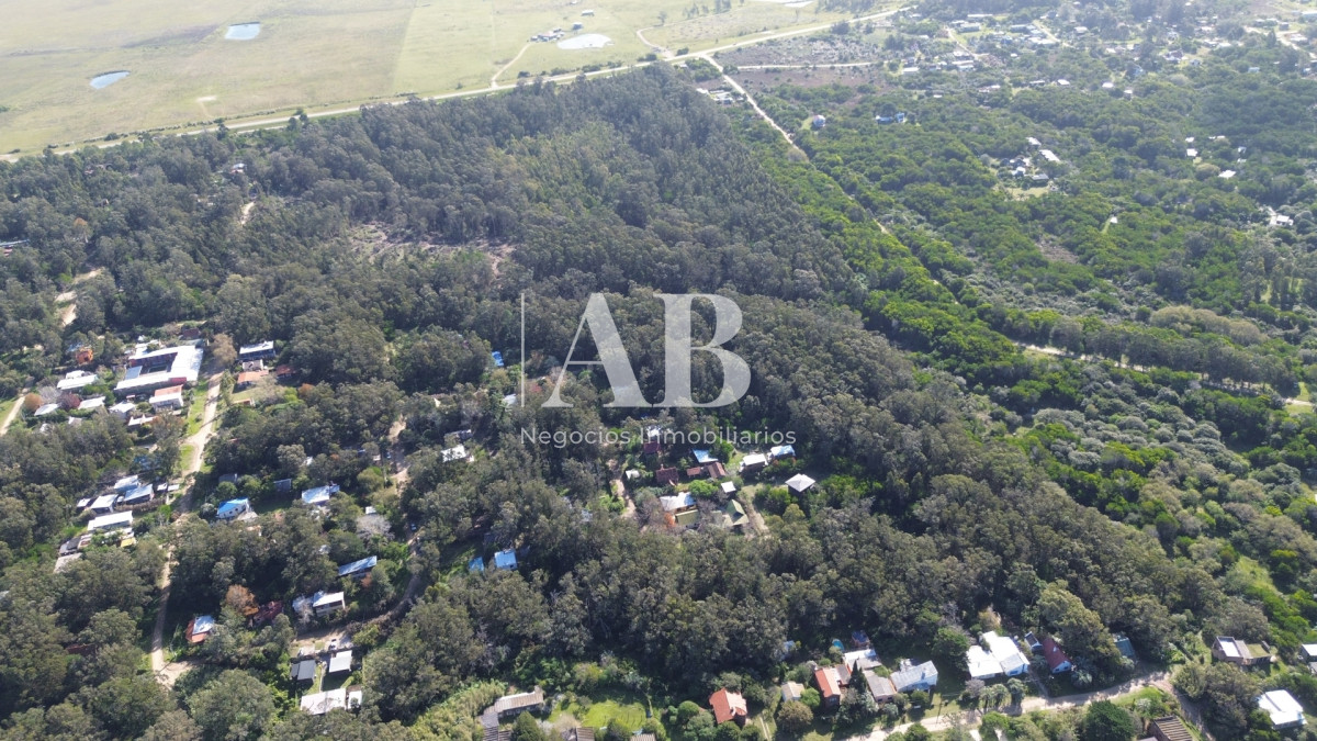 Chacra ID.323 - Fraccion de 15.5 Has en La Pedrera-Atento Desarrolladores!!