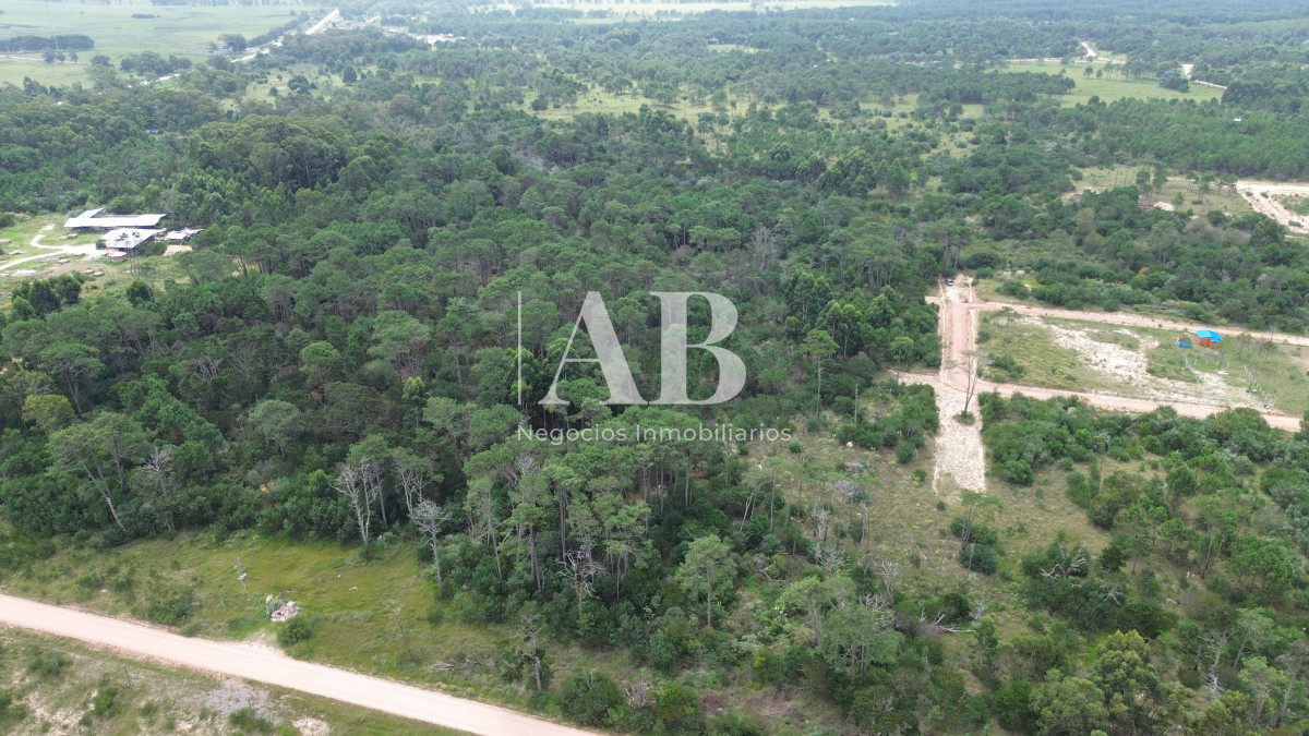 Chacra ID.196 - Chacra de 5ha en Punta del Diablo - Uruguay