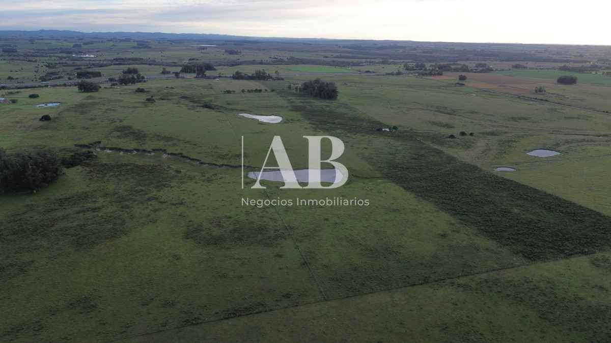 Chacra ID.313 - Chacra 9.85HAS Sobre Ruta 9 Maldonado.