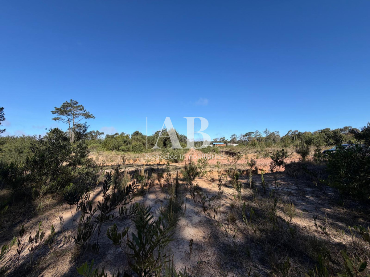 Chacra ID.196 - Chacra de 5ha en Punta del Diablo - Uruguay