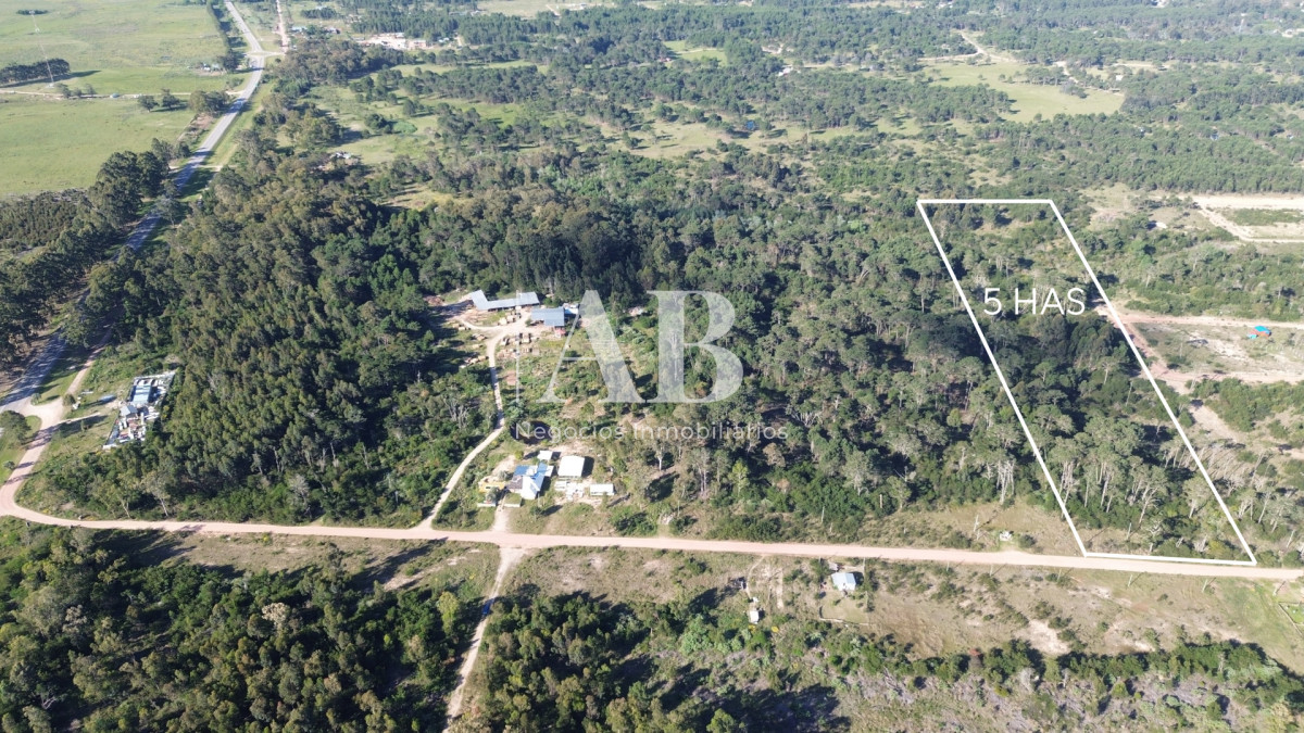 Chacra ID.196 - Chacra de 5ha en Punta del Diablo - Uruguay