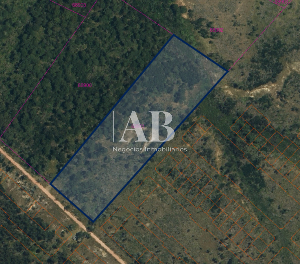 Chacra ID.196 - Chacra de 5ha en Punta del Diablo - Uruguay