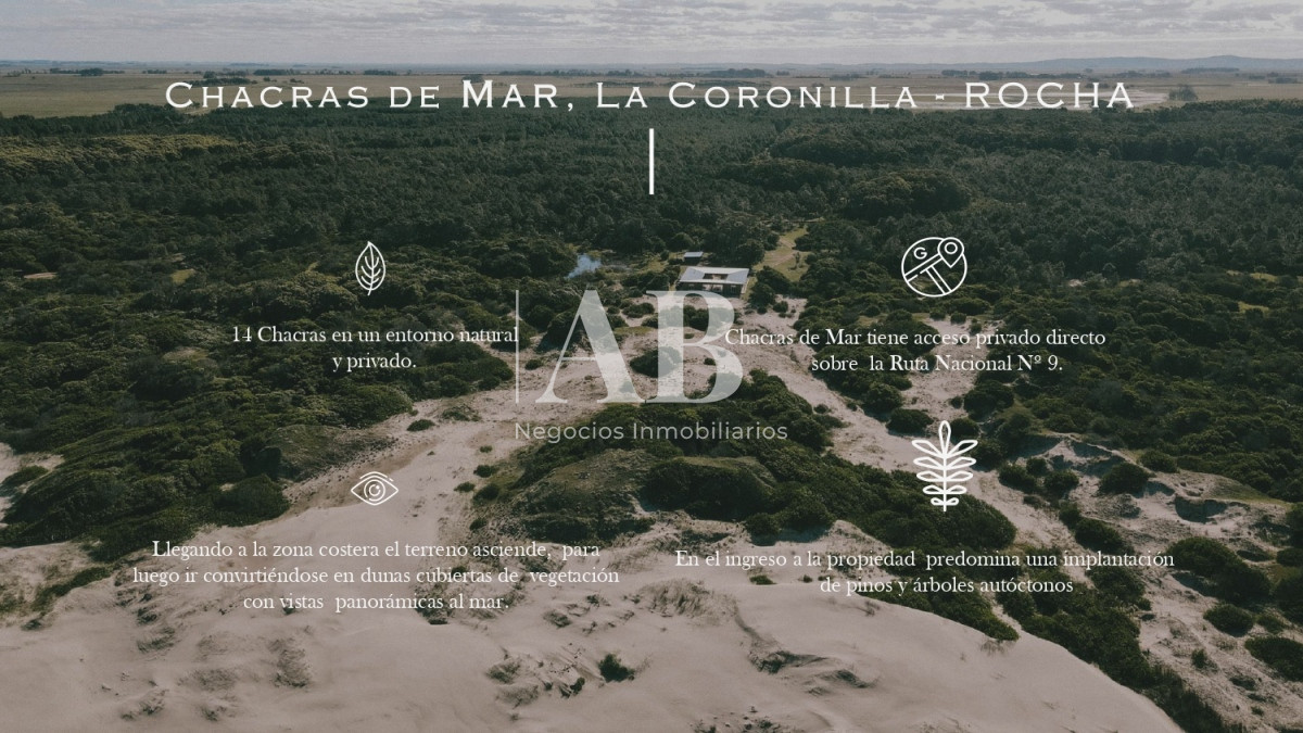Chacra ID.152 - Chacras de Mar 5has en La Coronilla - Rocha