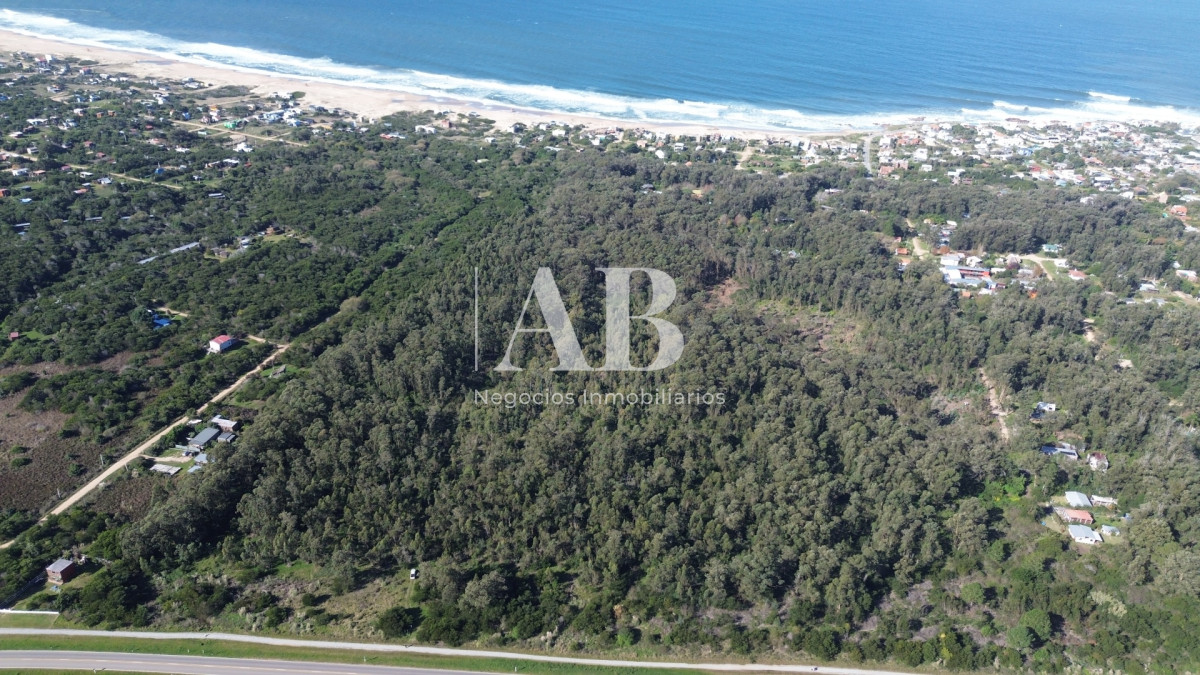 Chacra ID.323 - Fraccion de 15.5 Has en La Pedrera-Atento Desarrolladores!!