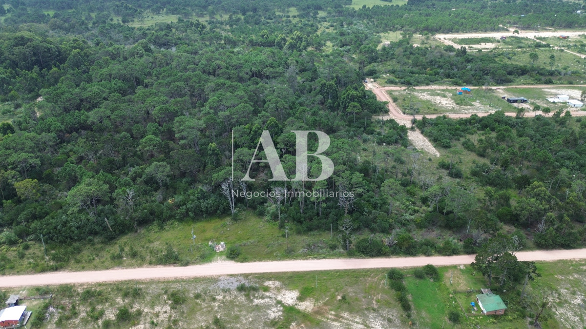 Chacra ID.196 - Chacra de 5ha en Punta del Diablo - Uruguay