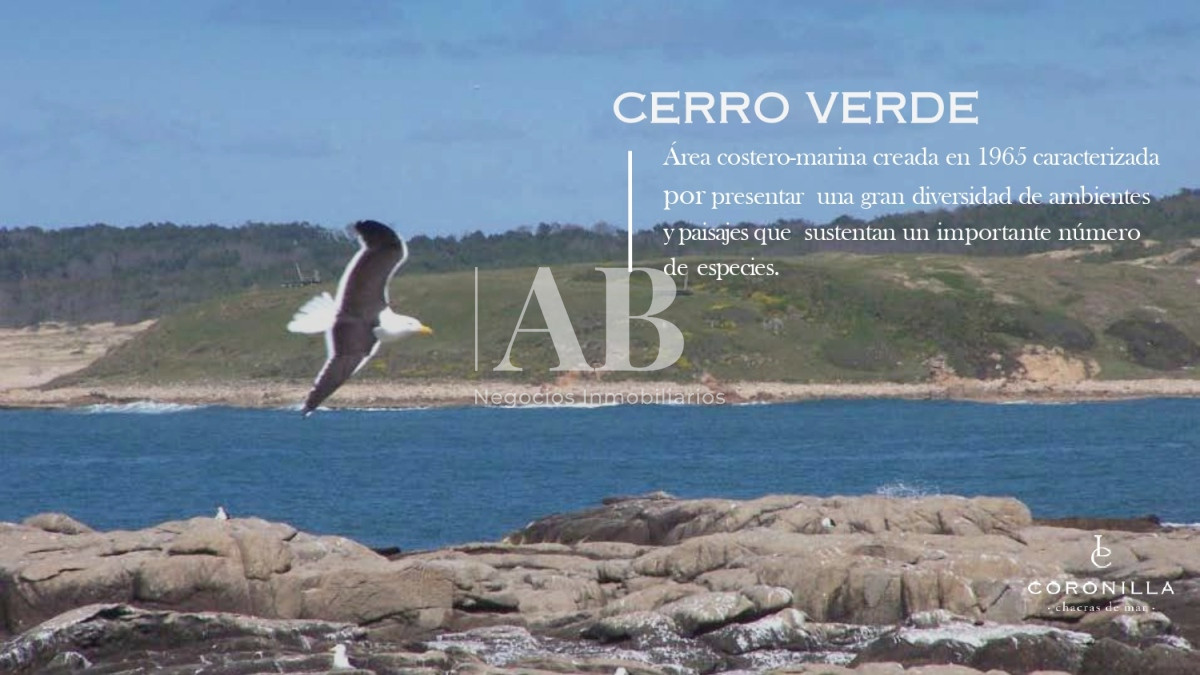 Chacra ID.152 - Chacras de Mar 5has en La Coronilla - Rocha