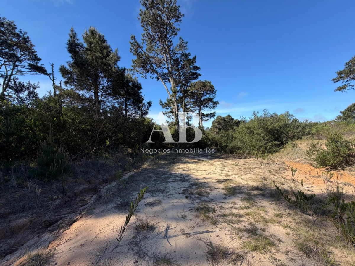 Chacra ID.196 - Chacra de 5ha en Punta del Diablo - Uruguay