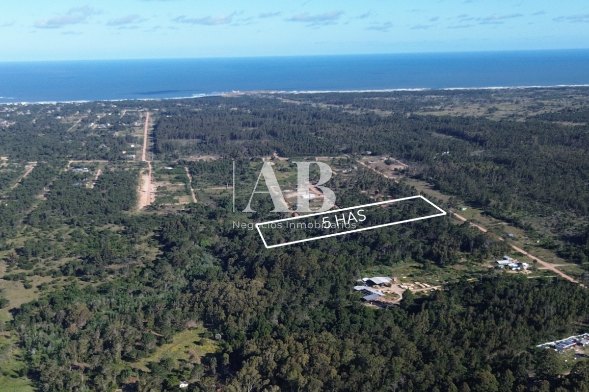 Chacra ID.196 - Chacra de 5ha en Punta del Diablo - Uruguay