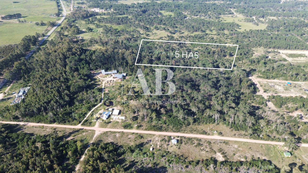 Chacra ID.356 - Oportunidad exclusivas 5has en Punta Del Diablo