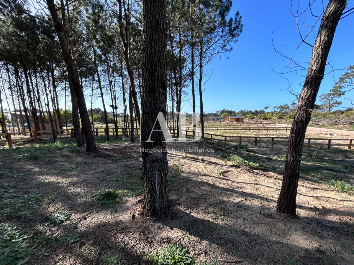 Terreno ID.136 - Solar 7 Punta del Diablo - Desarrollo La Isla - Mza 309