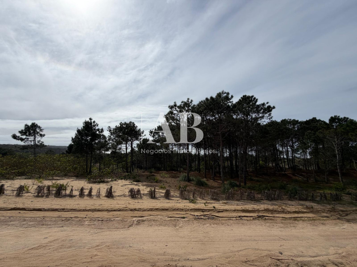 Terreno ID.237 - Terreno en 2da línea Playa Grande - Punta del Diablo