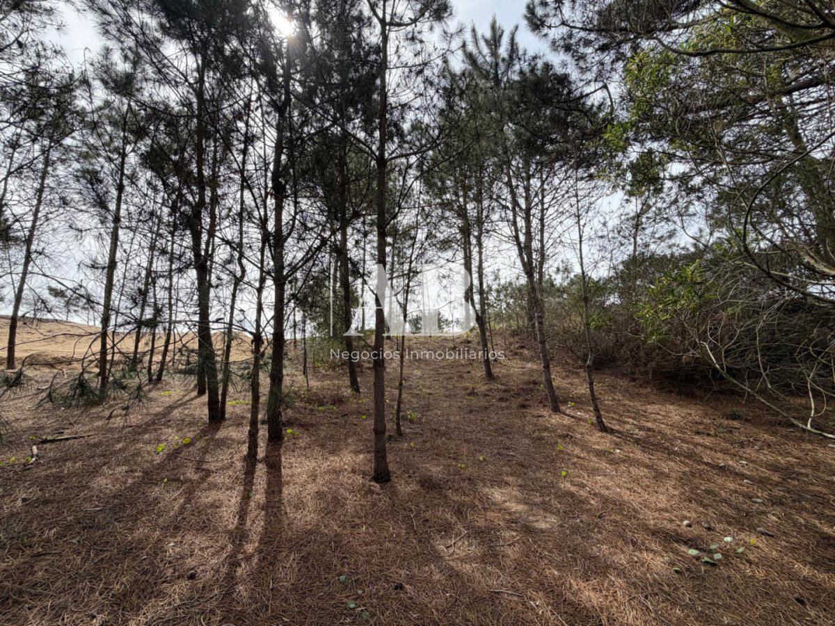 Terreno ID.237 - Terreno en 2da línea Playa Grande - Punta del Diablo