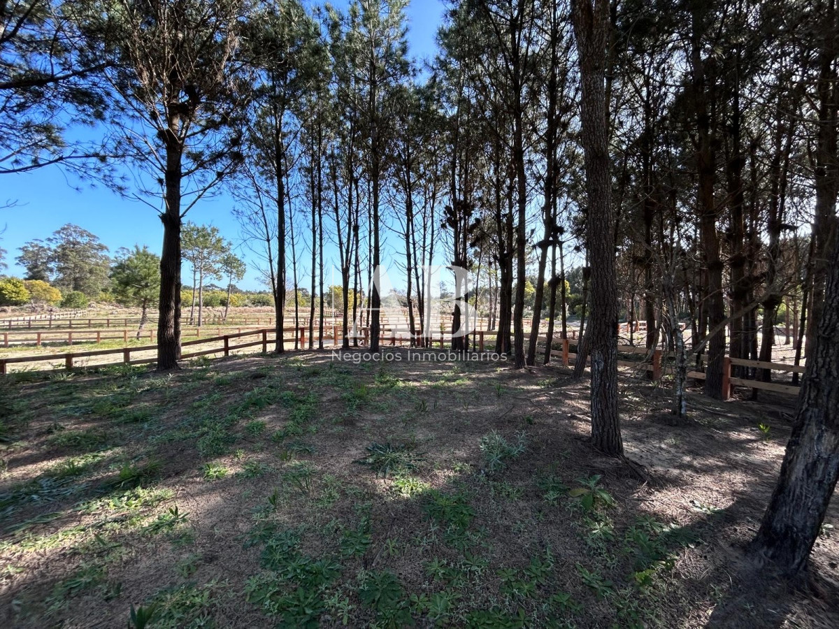 Terreno ID.137 - Solar 6 Punta del Diablo - Desarrollo La Isla - Mza 309