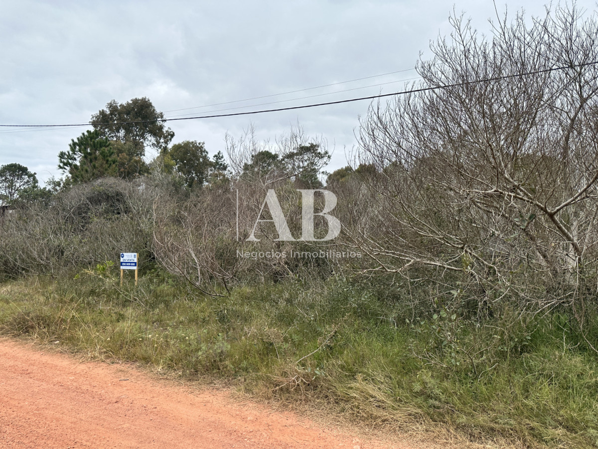 Terreno ID.314 - En Venta Solar 29 Manzana 24 - Punta del Diablo