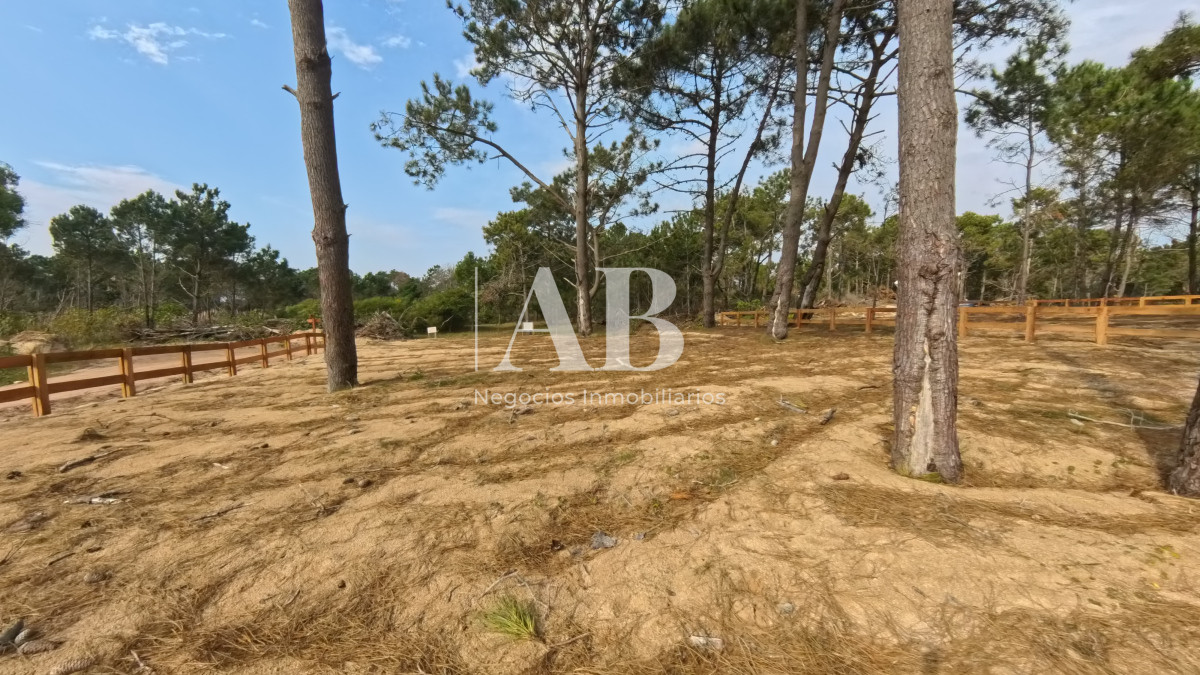 Terreno ID.229 - Solar 15 Ribera - Entrega U$D3.500 - Punta del Diablo