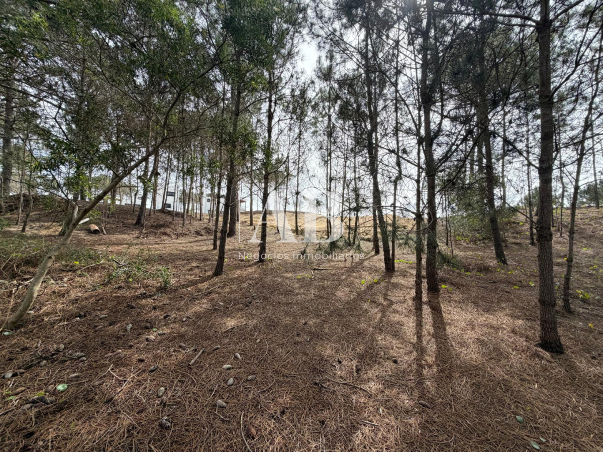 Terreno ID.237 - Terreno en 2da línea Playa Grande - Punta del Diablo