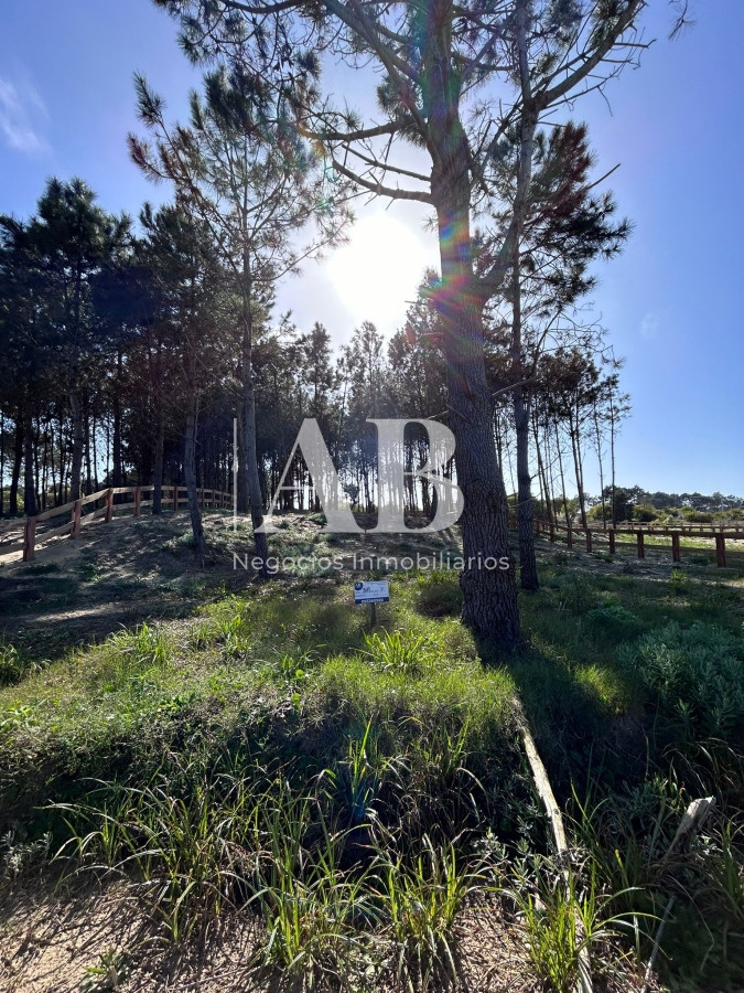 Terreno ID.136 - Solar 7 Punta del Diablo - Desarrollo La Isla - Mza 309