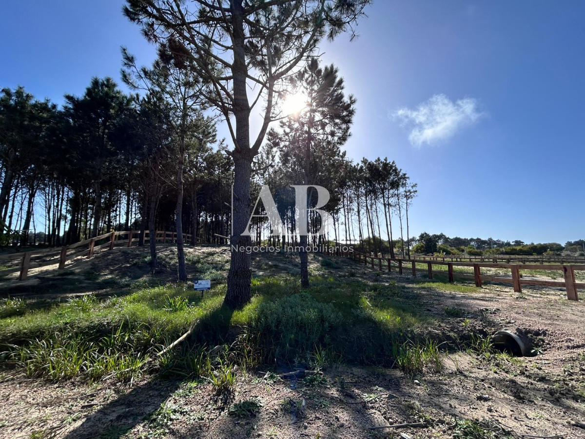 Terreno ID.136 - Solar 7 Punta del Diablo - Desarrollo La Isla - Mza 309