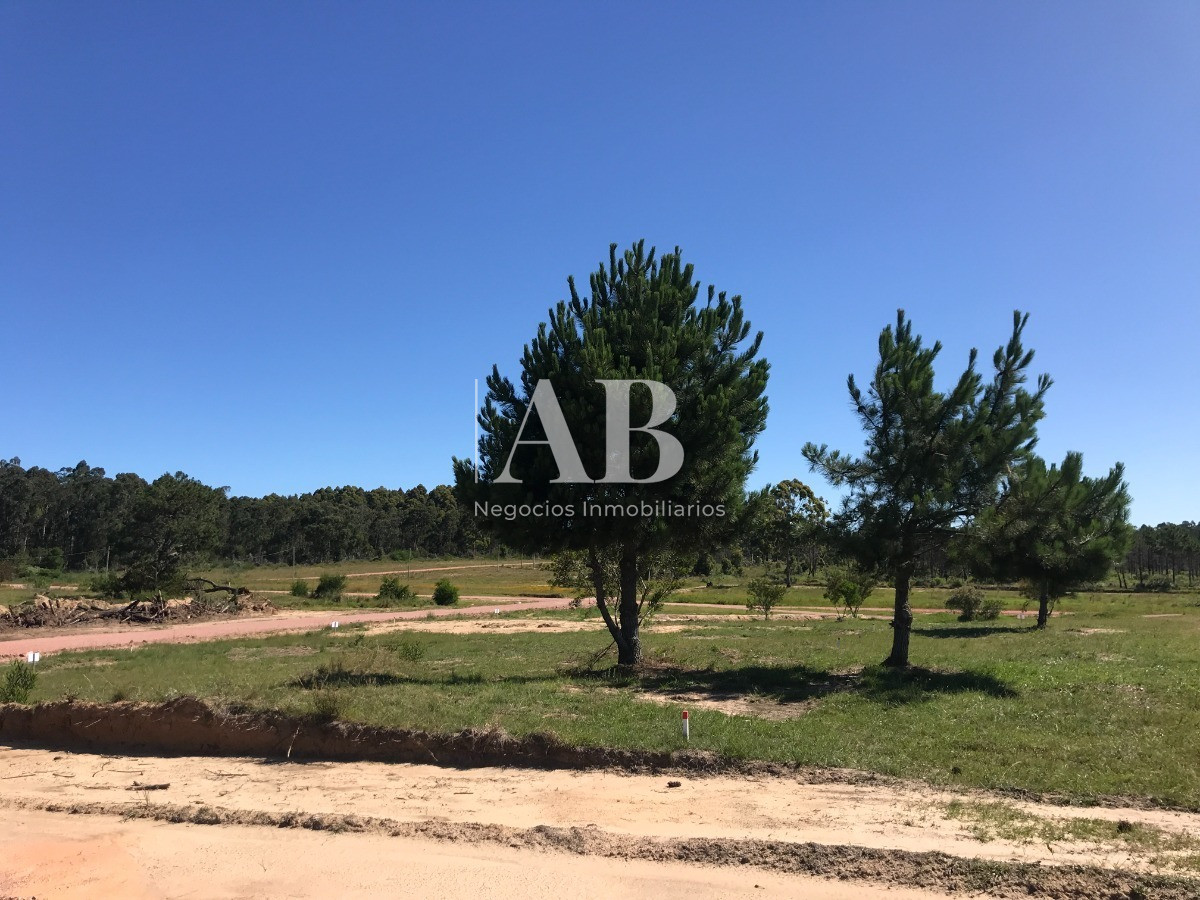 Terreno ID.60 - Terrenos Financiados - Los Zorzales - 30 Solares - Mza 423