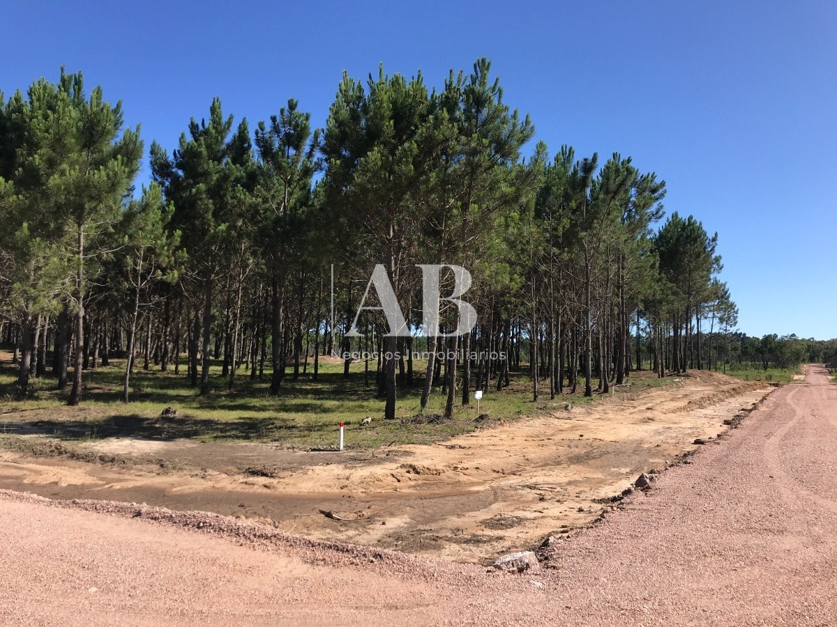 Terreno ID.60 - Terrenos Financiados - Los Zorzales - 30 Solares - Mza 423