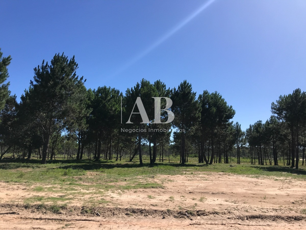 Terreno ID.60 - Terrenos Financiados - Los Zorzales - 30 Solares - Mza 423