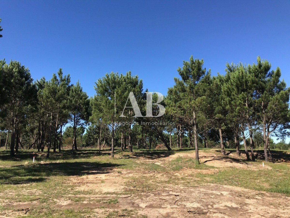 Terreno ID.60 - Terrenos Financiados - Los Zorzales - 30 Solares - Mza 423