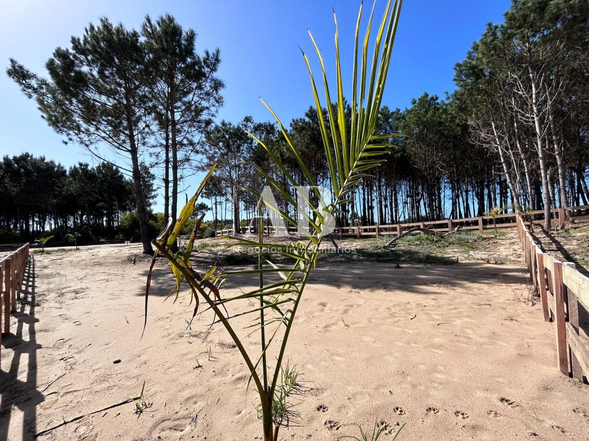 Terreno ID.142 - Solar 23 Punta del Diablo - Desarrollo La Isla - Mza 309