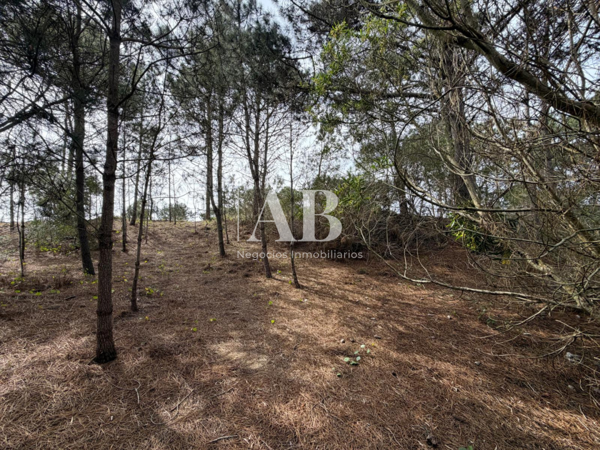 Terreno ID.237 - Terreno en 2da línea Playa Grande - Punta del Diablo