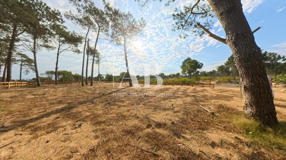 Terreno ID.229 - Solar 15 Ribera - Entrega U$D3.500 - Punta del Diablo