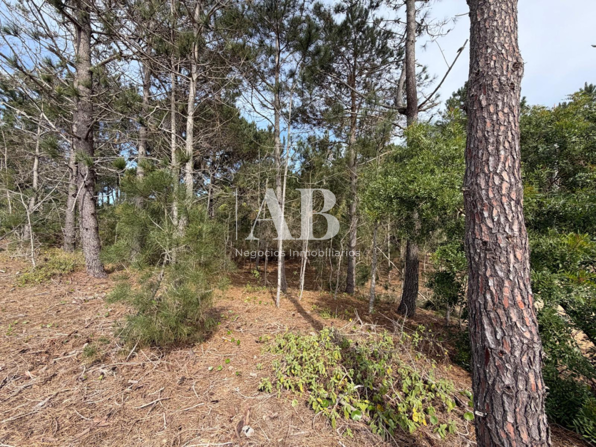Terreno ID.237 - Terreno en 2da línea Playa Grande - Punta del Diablo