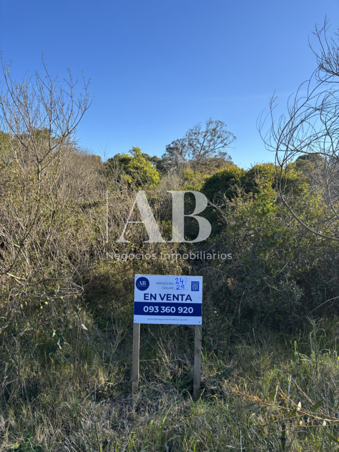 Terreno ID.314 - En Venta Solar 29 Manzana 24 - Punta del Diablo