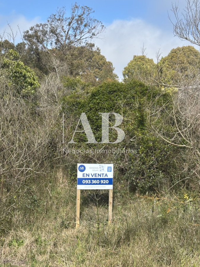Terreno ID.314 - En Venta Solar 29 Manzana 24 - Punta del Diablo